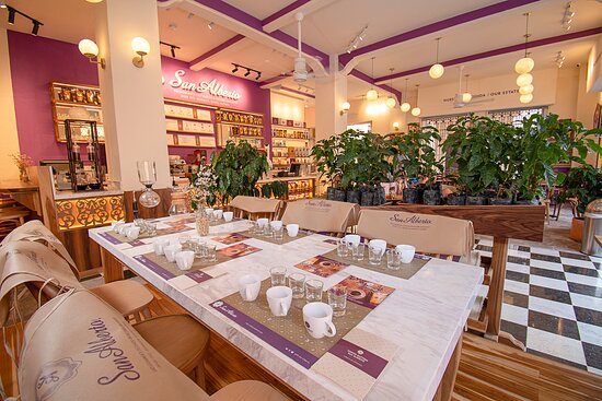Coffee & Honey Pairing Experience – A Sensory Journey