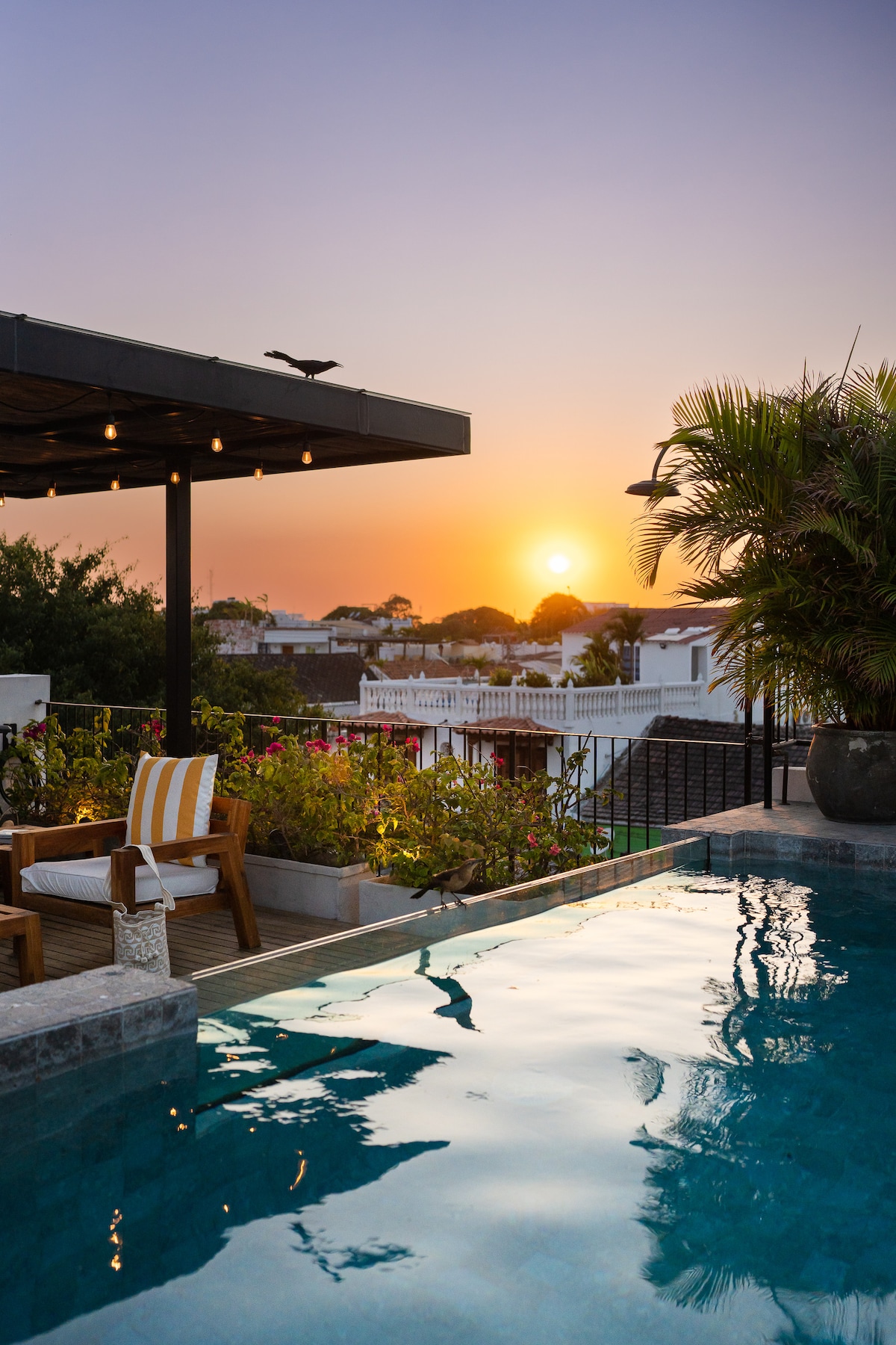 Casa Alexis – photo 22