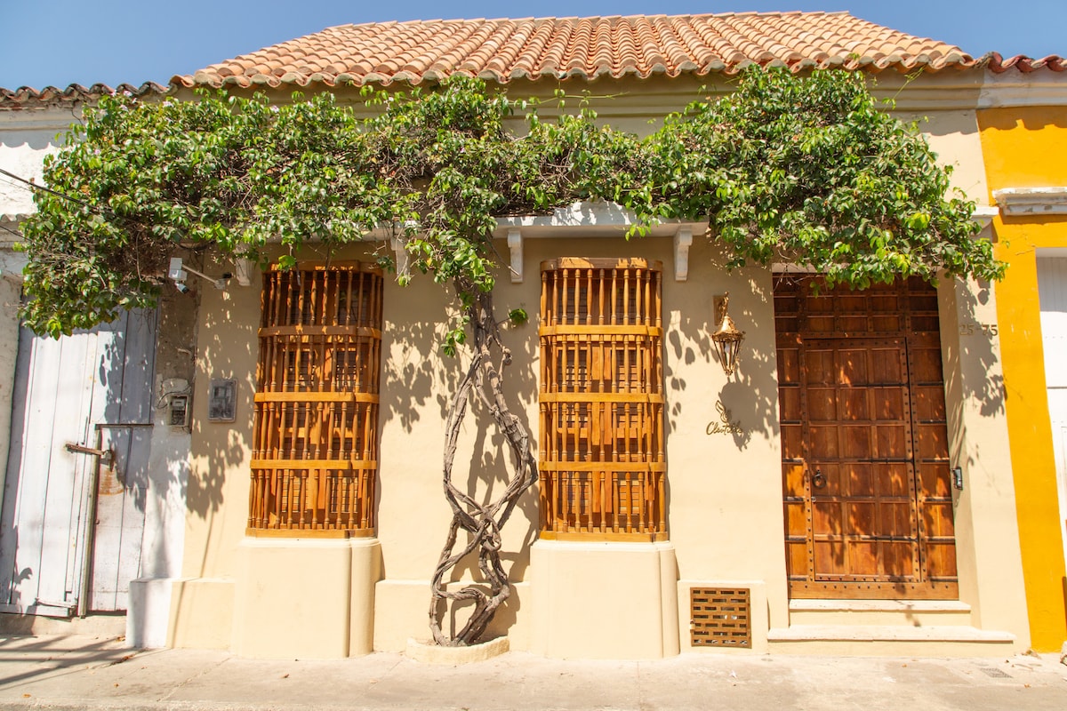 Casa Cleotilde – photo 61