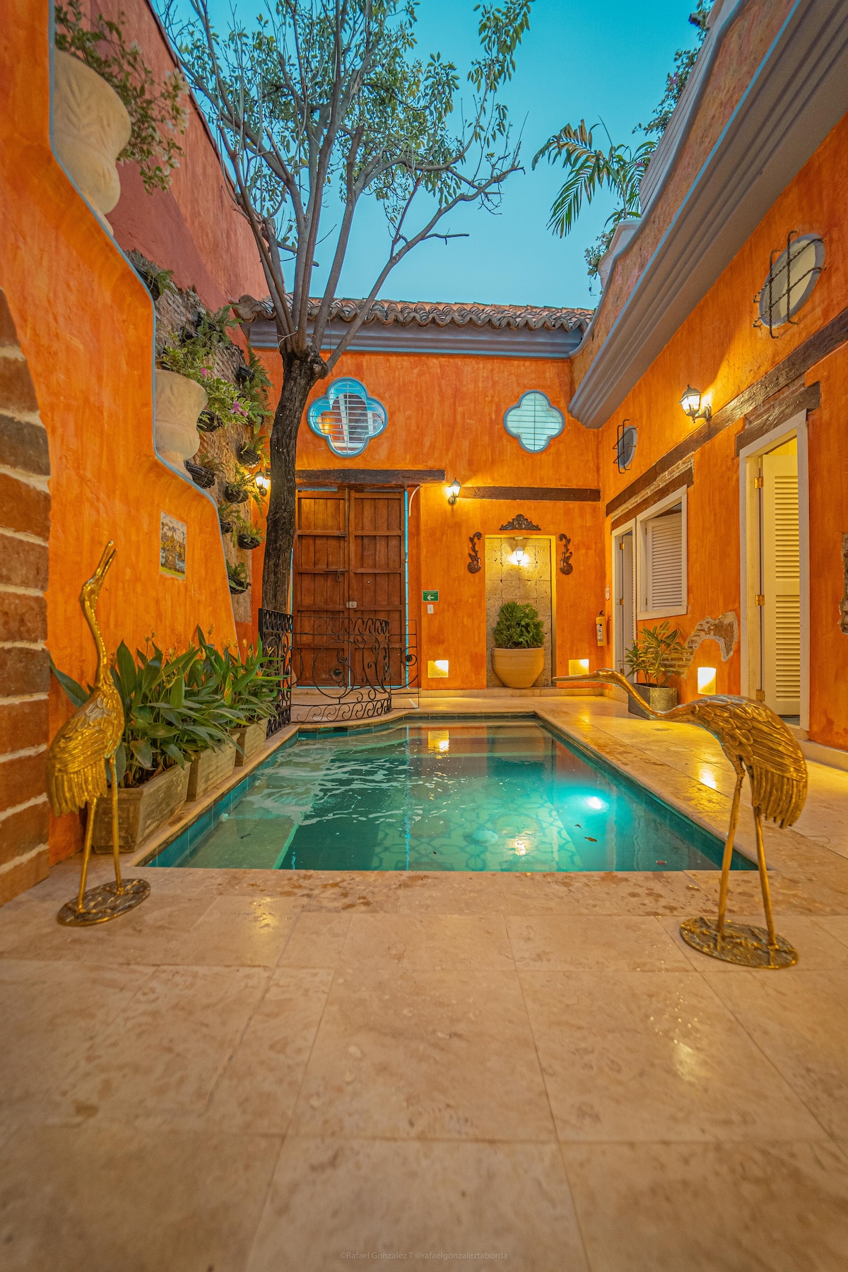 Casa Flamingo β photo 71