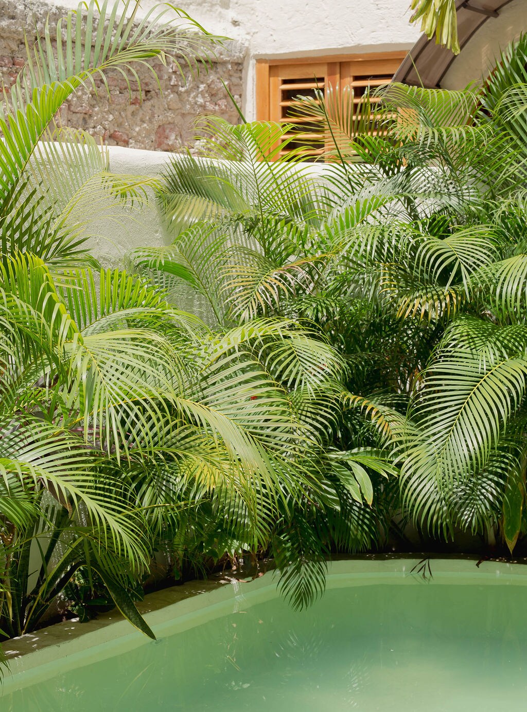Casa La Santisima – photo 126