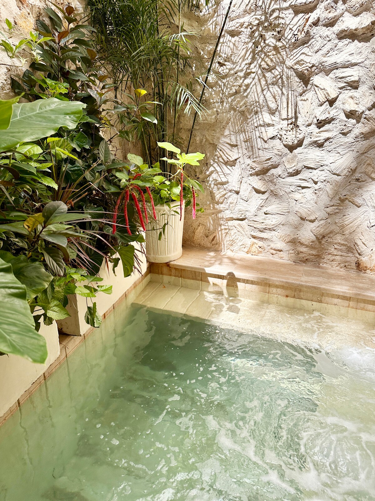 Casa Tovar – photo 62
