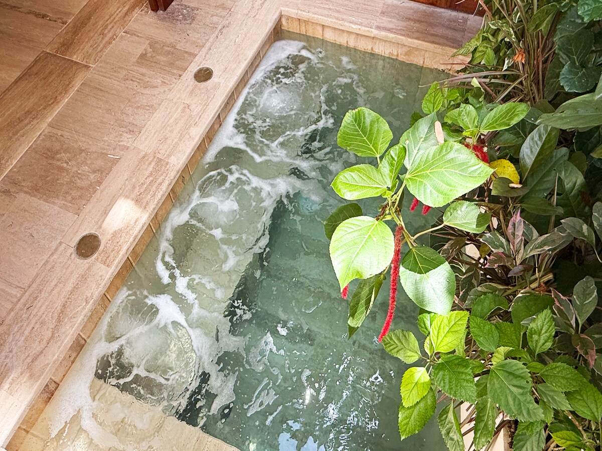 Casa Tovar – photo 63