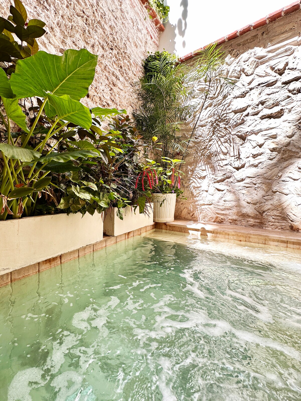 Casa Tovar – photo 64