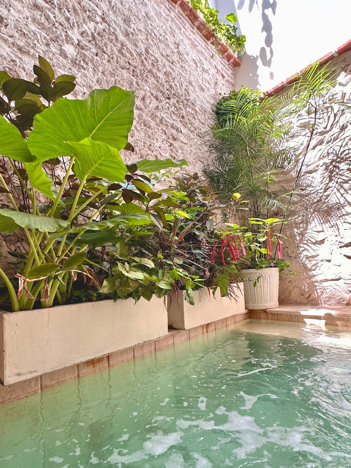 Casa Tovar – photo 65