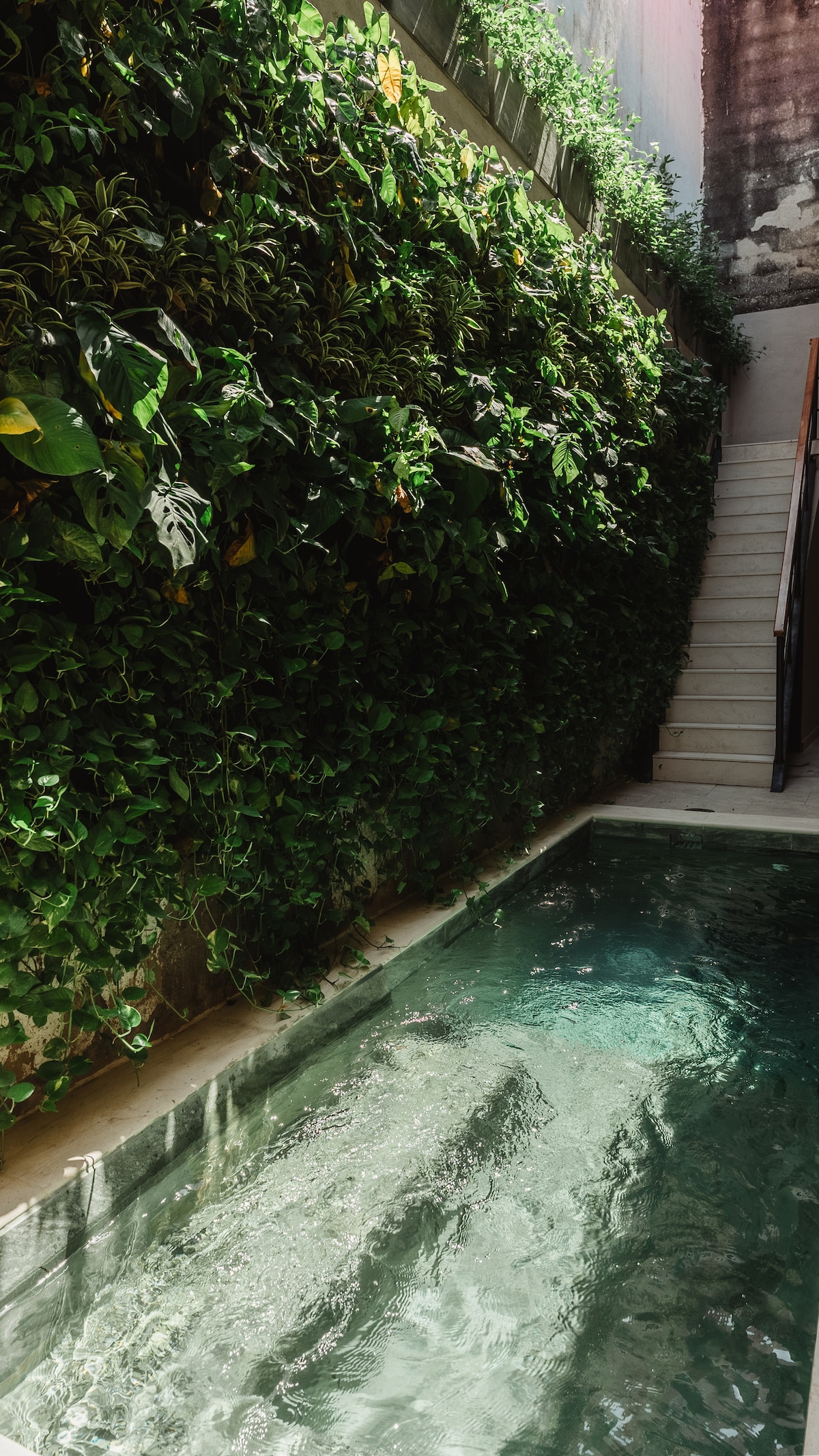 Casa Yuliana – photo 77