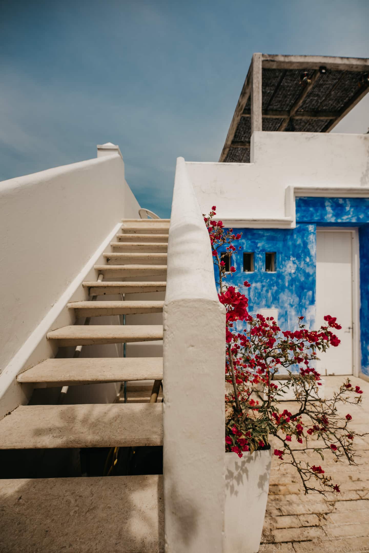 Cattleya Luxury House